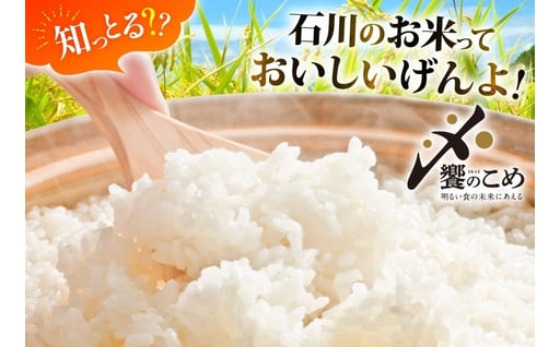 米 定期便 石川米こしひかり【穂立】10kg×12回 総計120kg 令和8年産 新米 [中橋商事 石川県 宝達志水町 38601403]コシヒカリ お米 コメ 12ヶ月 白米 精米 おこめ こめ 能