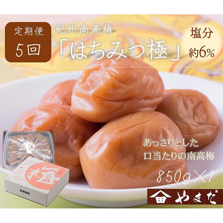 【定期便/2か月ごと/全5回】紀州南高梅はちみつ極塩分約6％（850g）