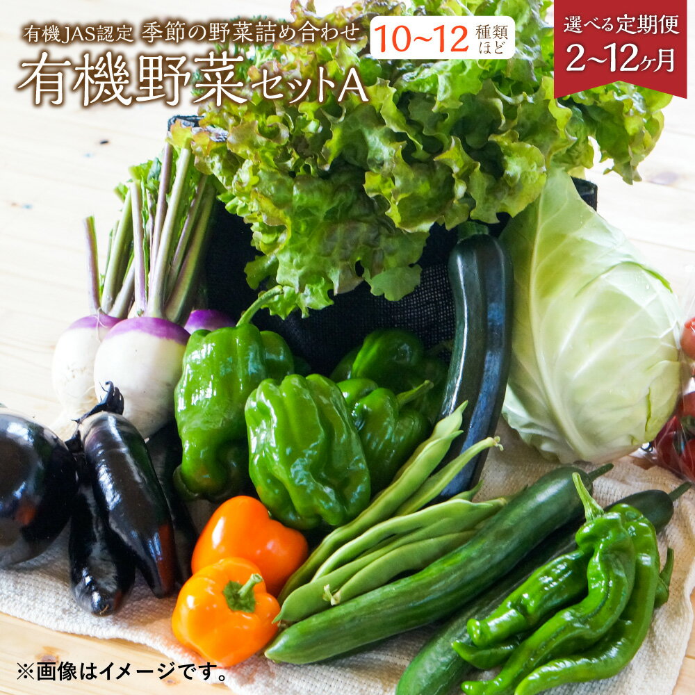 【ふるさと納税】【選べる定期便 2ヶ月～12ヶ月】有機JAS認定 季節の野菜詰め合わせ～有機野菜セットA～ 10～12種類程度 おまかせ 農薬化学肥料不使用 朝どれ 新鮮野菜 安心 安全 国産 定期 2回 3回 4回 5回 6回 7回 8回 9回 10回 11回 12回 北海道 北広島市産 冷蔵 送料無料