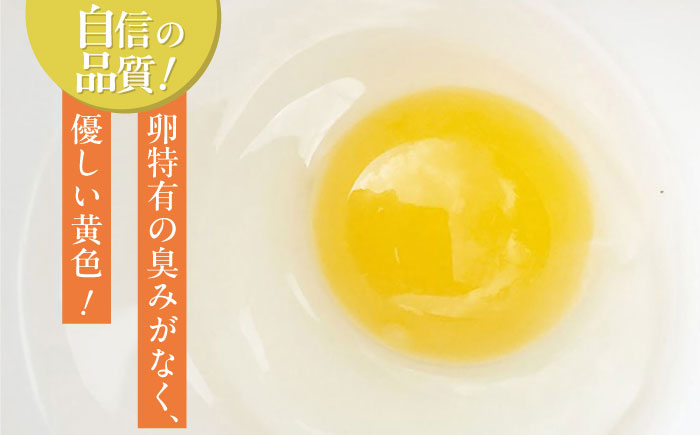 【全3回定期便】平飼いニワトリの有精卵！ほんまの卵定期便 計120個（40個×3回） / たまご 卵 平飼い / 佐賀県 / 本間農園 [41AJAA021]