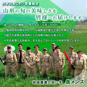 [令和5年産]山形市村木沢産はえぬき(玄米) 5kg×2 FZ19-318