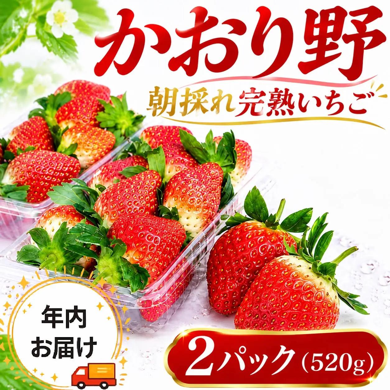【 年内お届け 】 完熟 かおり野 2パック 大粒 いちご 苺 イチゴ