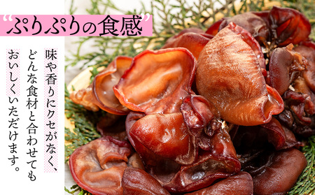 U01-001 生きくらげ