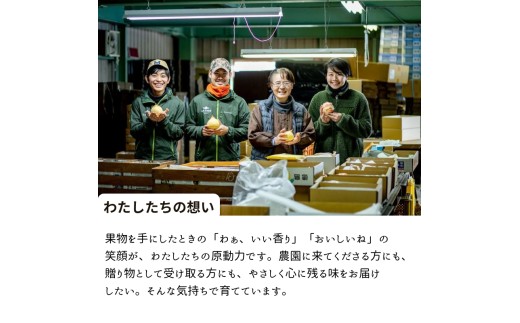 ヤーリー (鴨梨) 4kg 贈答 化粧箱 赤秀 11～13玉【先行予約 2026年11月中旬から順次発送】