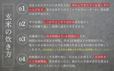 【先行予約】【令和6年産 新米】自然栽培米 永平寺町産 コシヒカリ 【玄米】5kg 無農薬 化学肥料 除草剤 不使用 福井県 永平寺