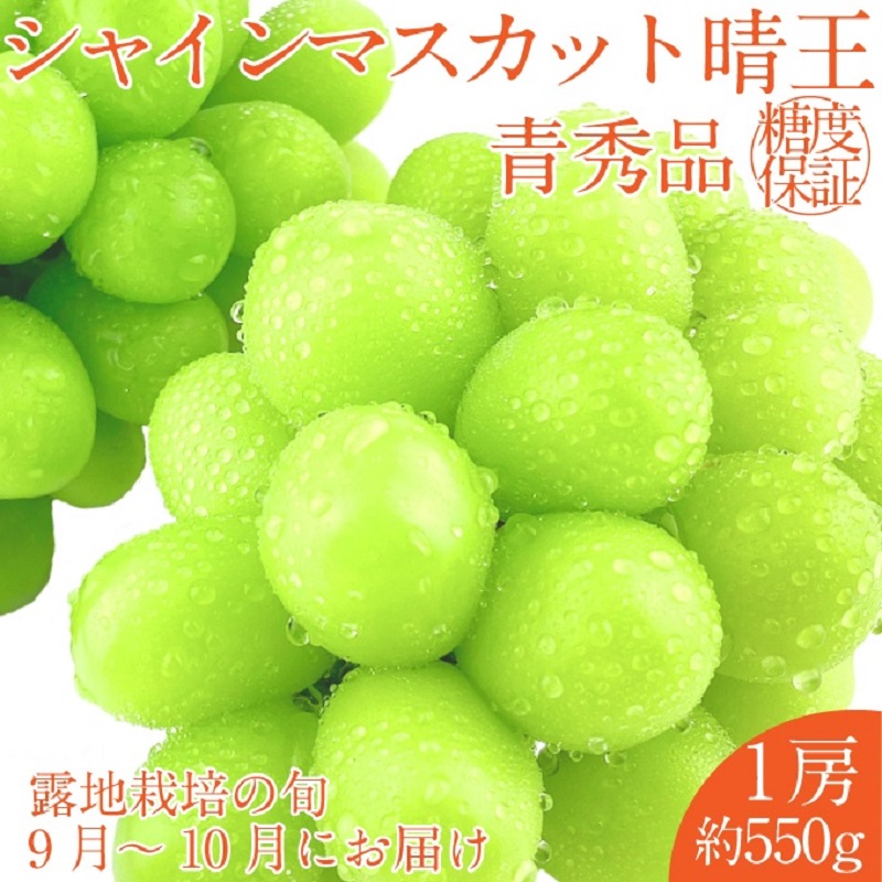 2026年 先行予約シャインマスカット 晴王 1房約550g 9月～10月出荷/ 岡山県産 種無し 皮ごと食べる みずみずしい フレッシュ 晴れの国 おかやま　 果物大国 彩美菜果