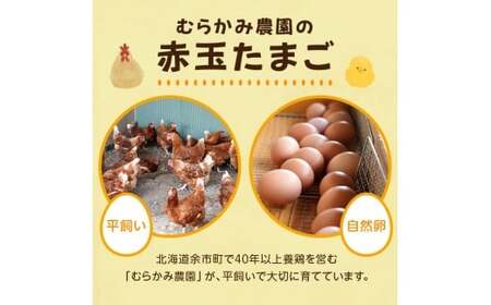 むらかみ農園の赤玉たまご30個_Y140-0001