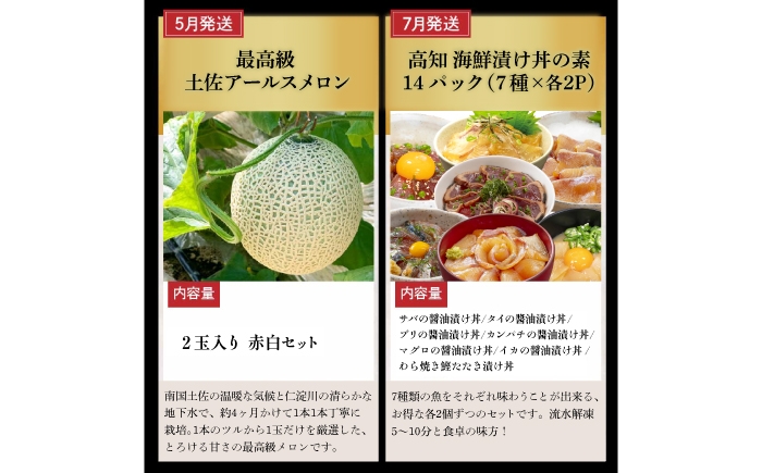 高知県 土佐市 高知 土佐 名物 詰め合わせ セット 人気 おすすめ