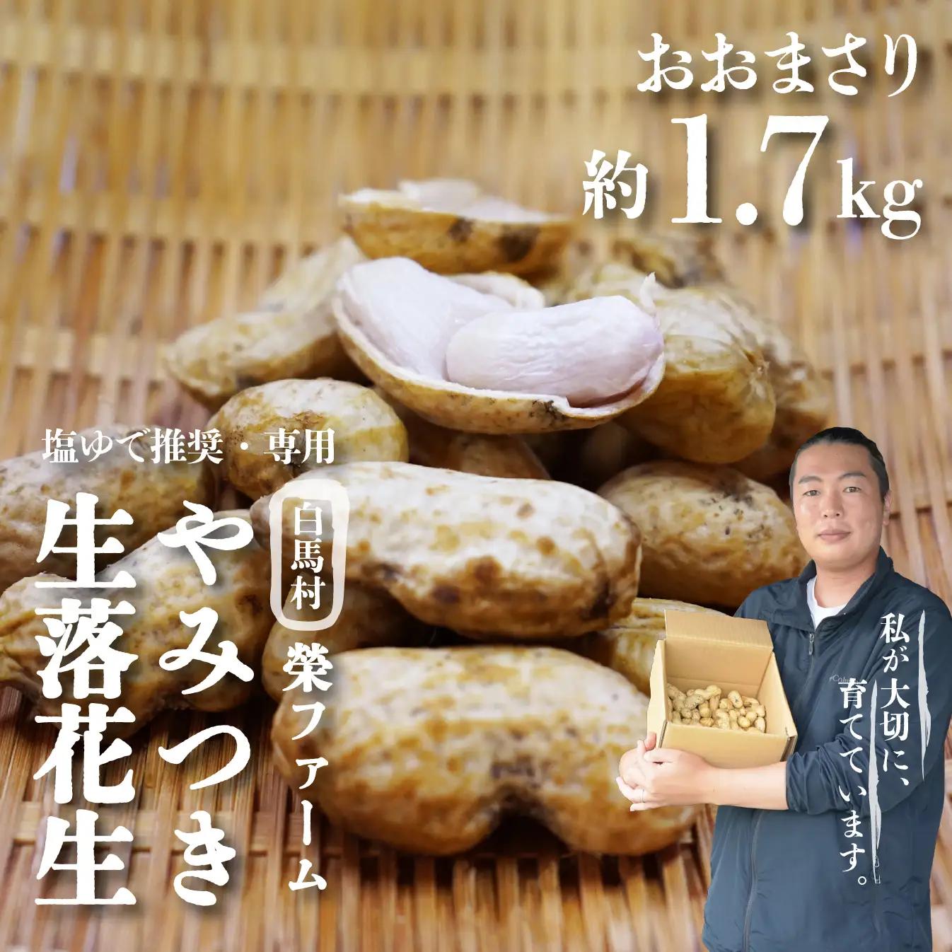 【白馬産】やみつき落花生　おおまさり約1.7kg 　/長野県白馬村産　