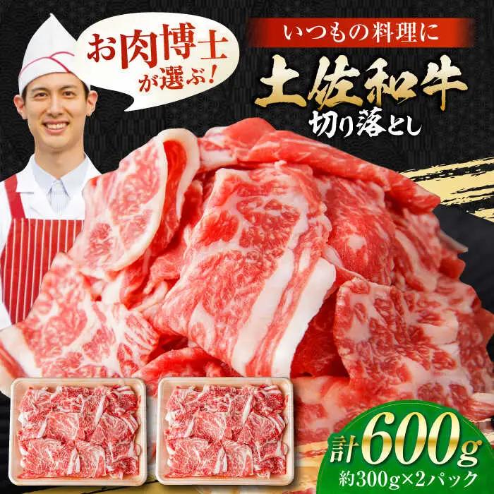 高知県産 土佐和牛切り落とし 約300g×2 / 牛肉 切り落とし 国産牛肉 牛肉すきやき 牛肉 切り落とし 国産牛肉 牛肉すきやき  [ATAP079]