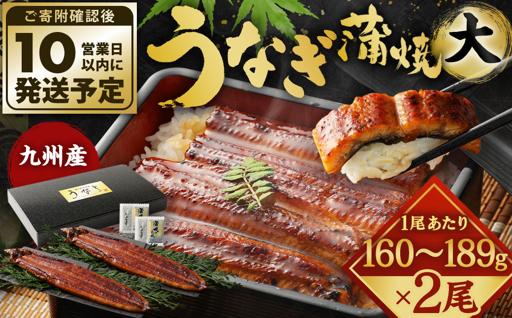 【年内配送】九州産 うなぎ 蒲焼 大 2尾 (1尾あたり160～189g)