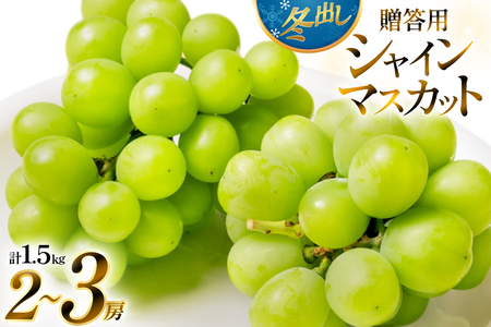 【期間限定発送】 2026年 冬出し 贈答用 シャインマスカット 1.5kg (2～3房) [いわた果樹園 山形県 高畠町 tk06ayt400004]