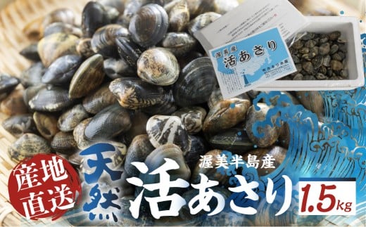 《先行予約》旬の渥美産 天然 活あさり 1.5kg  先行予約 ふるさと納税 あさり 国産 ふるさと納税 アサリ 採れたて ふるさと納税 砂抜き 海鮮 魚介類 魚介 貝 送料無料 産地直送 応援 寄附