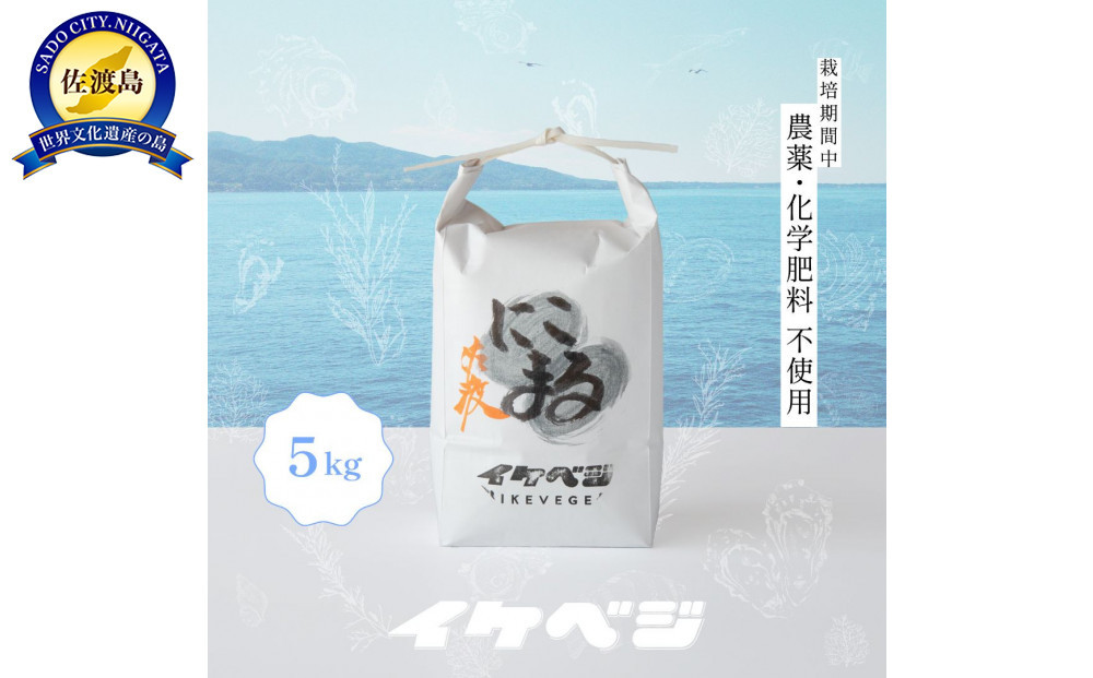 新潟県佐渡産 令和7年産 【にこまる】 玄米 5kg