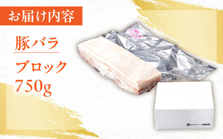 豚肉 ブロック 約750g NAC505 豚肉