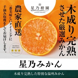 【三つ星ブランド】星乃みかん(4.5kg)【B45-90】【1582444】