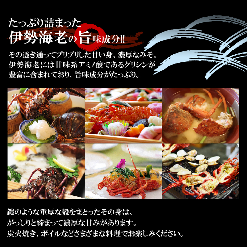 【漁師直送】活き〆冷凍 特大伊勢海老 1kg（1～2尾）　W005-003