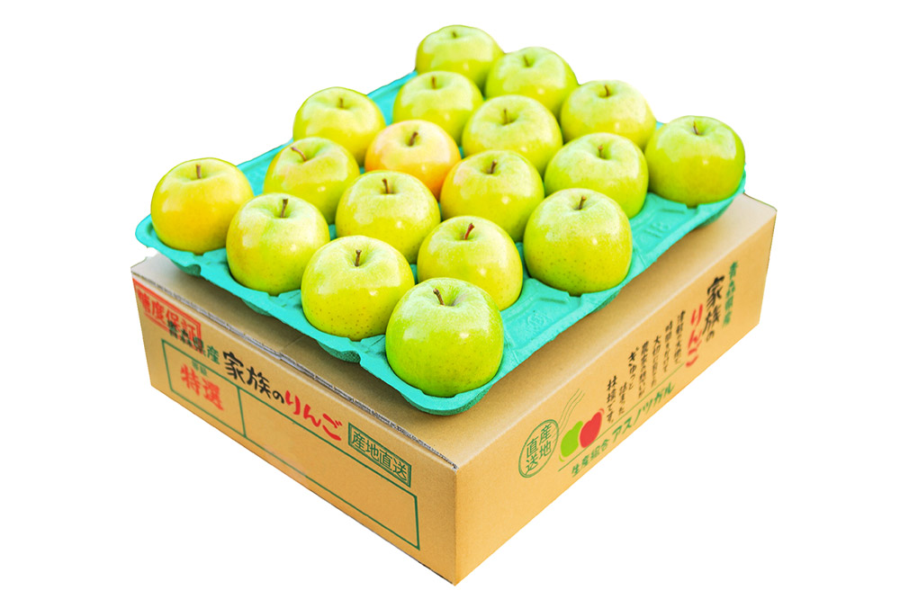 【26年1月発送】りんご 平均糖度13度以上！ シナノゴールド 約5kg 訳あり 青森 果物 フルーツ 林檎 リンゴ くだもの 不揃い 規格外