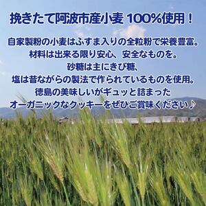 クッキー 7袋 セット 詰め合わせ  卵 乳 不使用 クッキー 焼き菓子 スイーツ