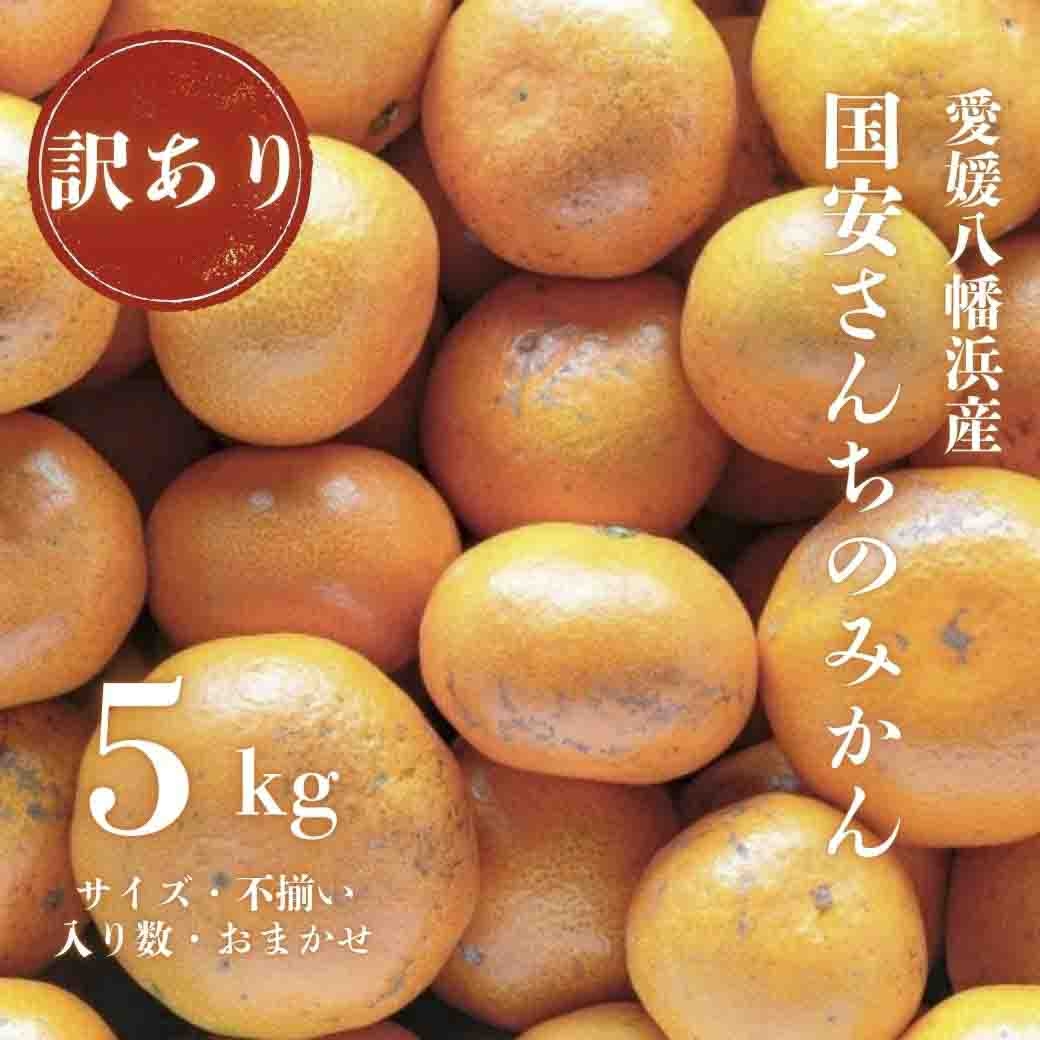 
                  ＜創業85年 親子4代 愛媛みかん 一筋＞訳あり 愛媛みかん 5kg＜C20-51＞【1595879】 YWTI046
                