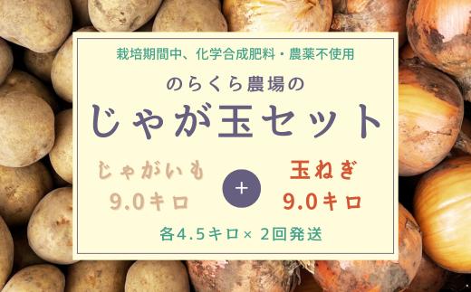 定期便　栄養価コンテスト受賞歴多数！　のらくら農場の　じゃが玉セット　（じゃがいも・玉ねぎ　各4.5kg×2回　（合計9.0kg×2回））　〔NK-19-2〕　よく使うお野菜だからこそ、質の良いお野菜