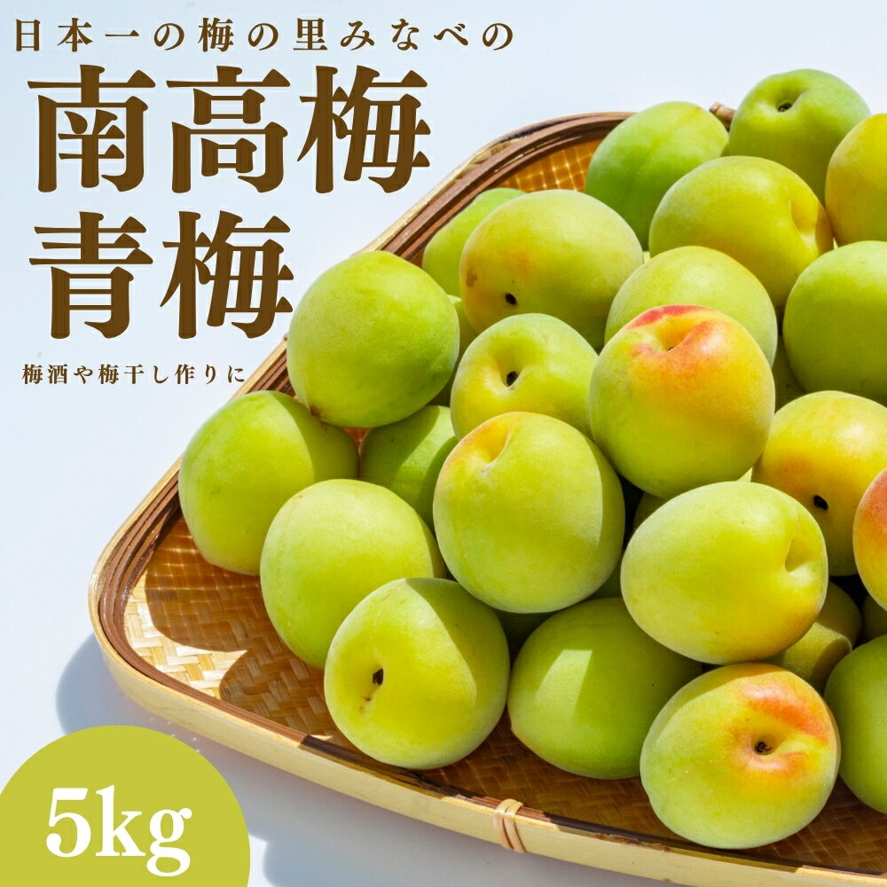 【ふるさと納税】 【受付期間 5/8～6/1】【2026年6月9日発送予定】青梅（南高梅）2L 5kg | 梅 ウメ うめ 梅シロップ用 梅酒用