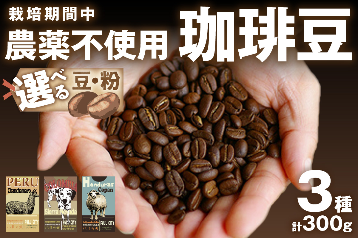 【栽培期間中農薬不使用】自家焙煎コーヒー豆　お試しセット（100gx3種）八月の犬　珈琲豆　ドリップ　飲み比べ　コホペ 八月の犬 ドリップ 飲み比べ　お試し 珈琲 コーヒー コーヒー豆 豆 自家焙煎 栽培期間中農薬不使用 セット 詰め合わせ 飲み比べ 比べ 送料無料 京都 から 焙煎したて を 直送 美味しい