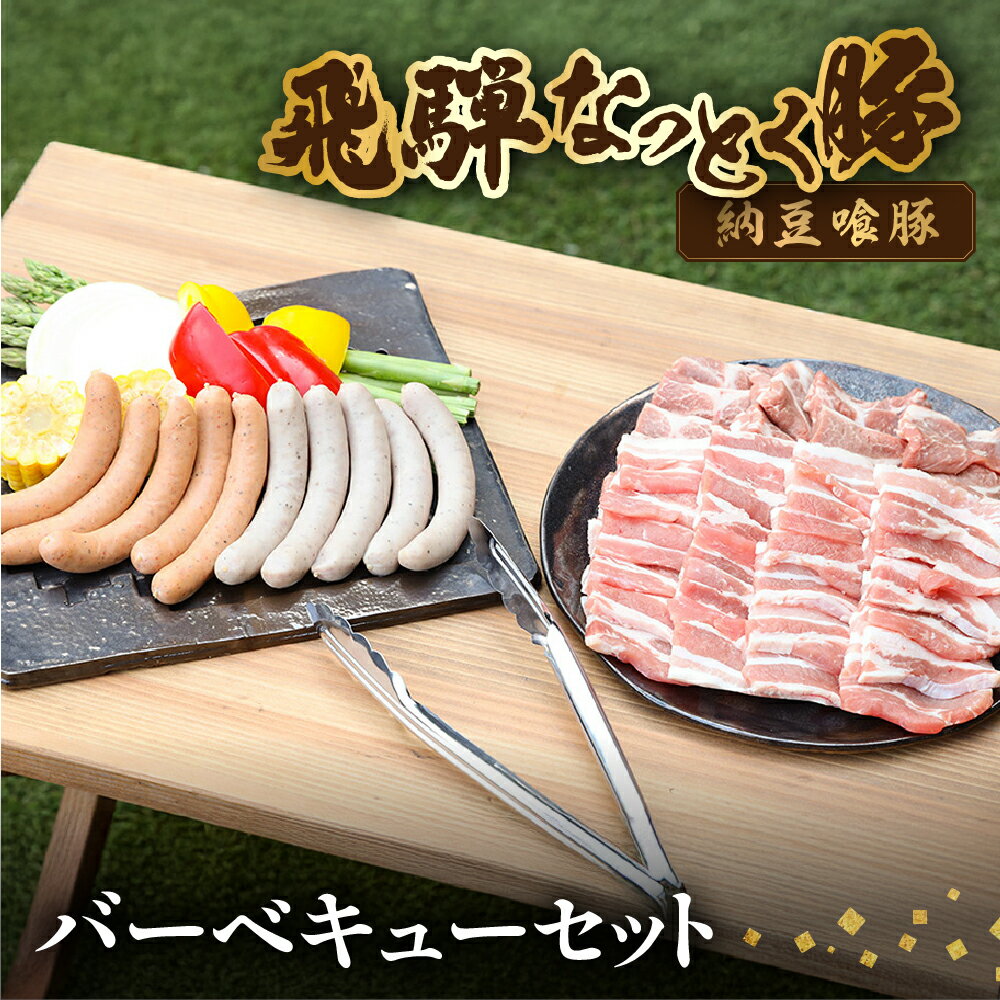 【ふるさと納税】【年内順次発送】 年内配送　 飛騨納豆喰豚バーベキューセット 【冷凍】冷凍配送 ロース・ばらカルビ 各360g 飛騨納豆喰豚ウインナー 5本(150g)×1・ピリ辛ウインナー 5本(150g)×1 年内配送 年内発送 年内に届く 年内お届け