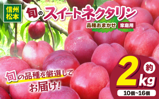信州産 品種おまかせ旬のネクタリン 約2kg（10個～16個）｜ふるさと納税 信州 松本 ネクタリン オリジナル 品種 甘い 果物 フルーツ 甘い おすすめ
