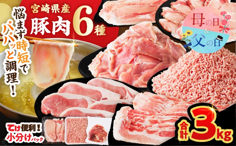 
                  【選べる発送時期】≪宮崎県産≫豚肉6種＼てげスゲーセット／合計3kg 母の日 父の日 肉 豚 豚肉 おかず 国産_T009-0315-o
                