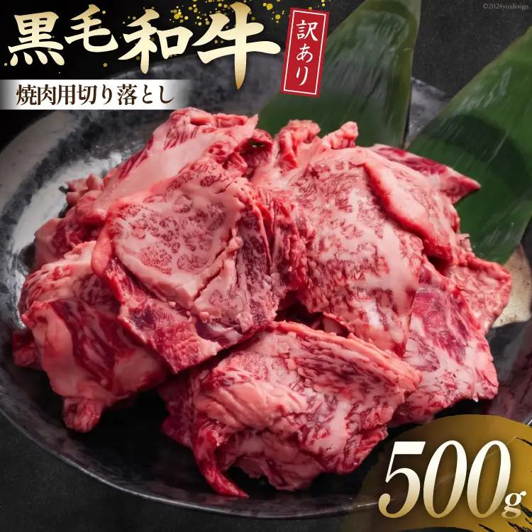 和牛 訳あり 宮崎県産 黒毛和牛 切り落とし 500g 和牛