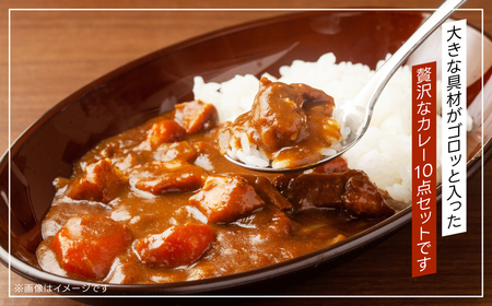 千葉産直情熱カレー10袋セット(中辛×４、辛口×３、甘口×３）レトルトポークカレー TMF007 / レトルトポークカレー カレー かれー curry ポークカレー レトルト レトルトポークカレー 1