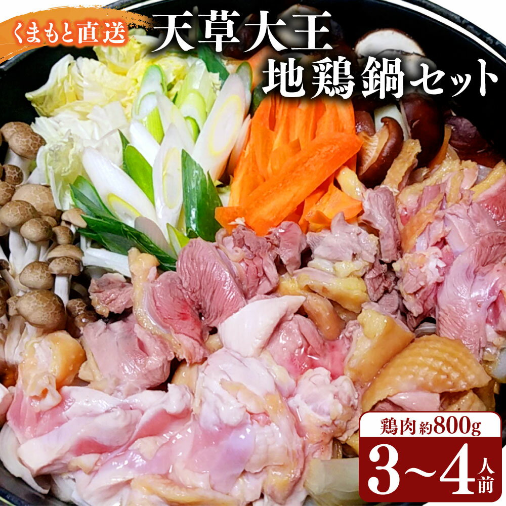 【ふるさと納税】くまもと直送 天草大王 地鶏鍋セット 3～4人前 ブランド地鶏 高級 地鶏 鶏 鶏肉 チキン カット肉 つみれ だご麺 スープ付き 鍋 セット 簡単 調理 熊本県 水俣市 送料無料