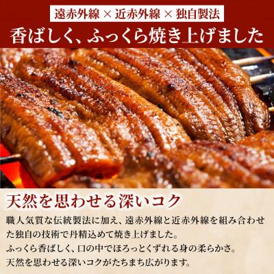 ふるさと納税 島田市 先行受付　【6月上旬より配送】　大五のうなぎ蒲焼　850g(170g×5尾)　国産うなぎ(大サイズ) |  | 03