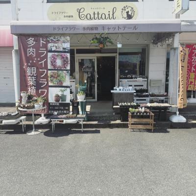 ふるさと納税 直方市 ドライフラワーお任せリース　NO2 |  | 03