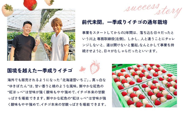【北海道産】ゆきいちご（ゆきぼたん/紅ほっぺ）白×ＭＩＸ 2Ｐセット 各250g×2【59002】