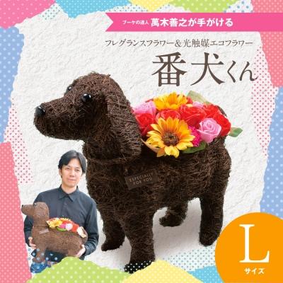 ふるさと納税 笠岡市 フレグランスフラワー&amp;光触媒エコフラワー「番犬くんL」