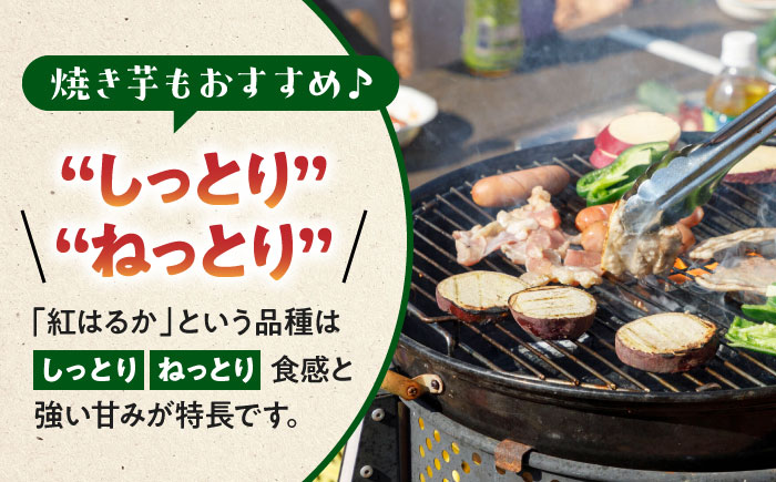 【先行予約】いちょうの畑　さつまいも 紅はるか 約5㎏ 【農事組合法人いちょう】 [YDN010]