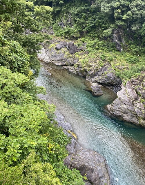 【ふるさと納税】鮎　甘露煮　8尾／大森水産　あゆ　お取り寄せグルメ　川魚　和食　三重県　大台町