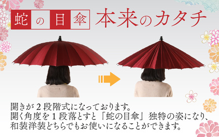 【杉色】蛇の目洋傘　雨傘(親骨60㎝) [N-035008_06]