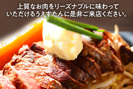 うえすたん ランチもディナーも使える お食事券 3000円分 （1000円×3枚） お食事券 納税 支援品 返礼品 支援 返礼 お礼の品 チケット 券 お食事券 食事券 ディナー 食事 レストランチケ