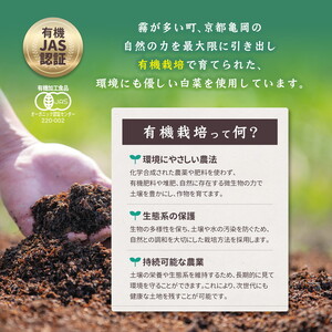 漬物 オーガニック 白菜キムチ 1.2kg 漬物【冷凍】