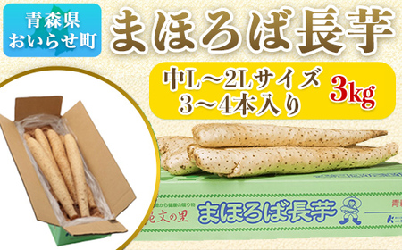 青森県産まほろば長芋 中3kg 【 ふるさと納税 人気 おすすめ ランキング 長芋 山芋 ながいも いも とろろ 新鮮 野菜 詰め合わせ 青森県 おいらせ町 送料無料 】 OIT311