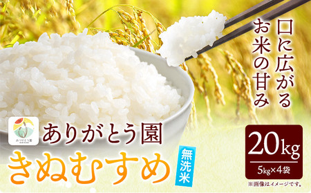 令和6年産 米 岡山県産 きぬむすめ 無洗米 20kg ありがとう園《30日以内に出荷予定(土日祝除く)》岡山県 矢掛町 無洗米 米 コメ 一等米