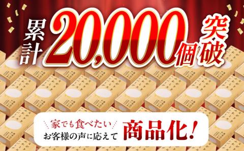 【全6回定期便】 【累計20,000個突破！】ふわとろ ハンバーグ 10個入【ワールドミート】 [YF07] 肉 牛肉 豚肉 おかず 惣菜 定期便