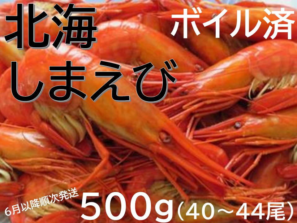 新物 北海縞海老 シマエビ 北海縞えび  国産 500g 40～44尾 しまえび 冷凍 えび エビ ボイル済み Sサイズ