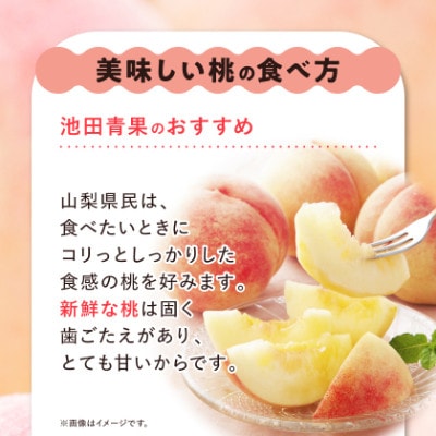 【2027年(来年)発送】 桃 約2kg (5玉~8玉) 厳選 ! 池田青果の もも【配送不可地域：離島・沖縄県】