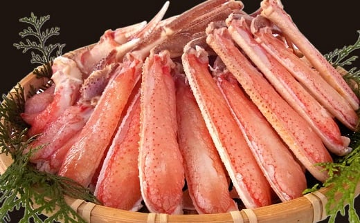 生ズワイ蟹セット カット済 1.2kg 海鮮 カニ かに ズワイガニ ずわい蟹 楚蟹 ずわいがに 肩 かた 5Lサイズ 特大 大型 大容量 ボイルカニ ボイルズワイガニ 蟹しゃぶ かにしゃぶ