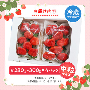 福岡県産あまおういちご　280g～300g×4パック（中粒）【3月～4月発送】 _ いちご あまおう 中粒 4パック 宇佐川農園 果物 フルーツ みずみずしい ジューシー 甘味 酸味 濃厚 ストロベリ