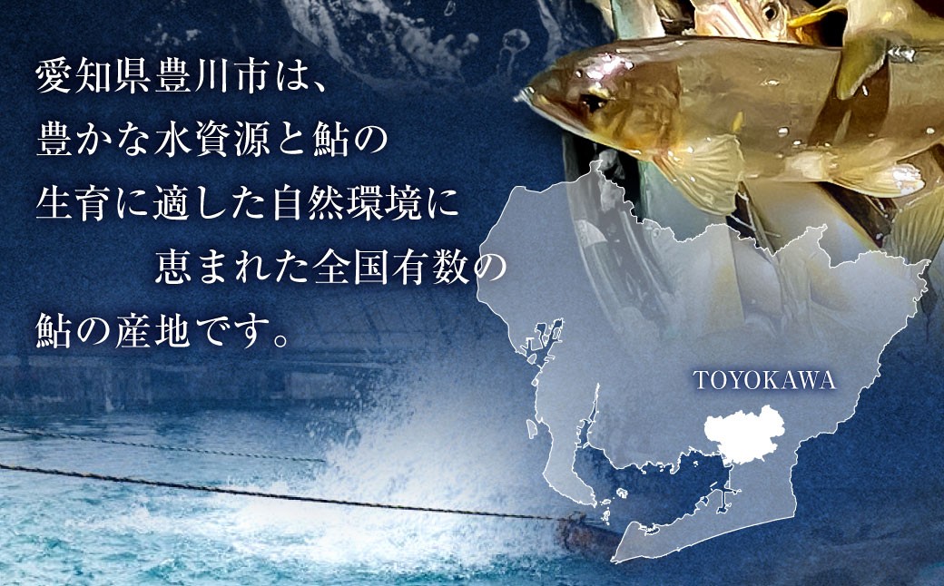 【 とよかわ鮎 】 冷凍 約10kg 厳選鮎使用！ （ 急速冷凍 ）